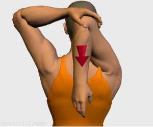 estirar-triceps